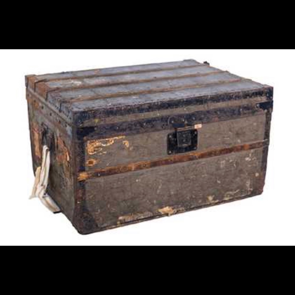Louis Vuitton Trianon 1867 Vintage Grey Trunk